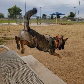 Dog Park at Friendship Park